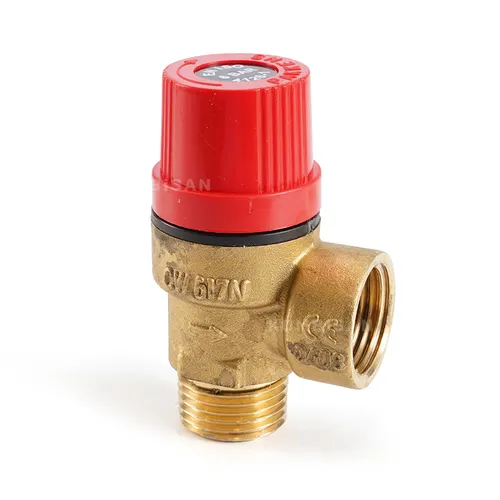 Boiler Safety Valve (Pakkens) 1/2 Male Thread 6 Bar