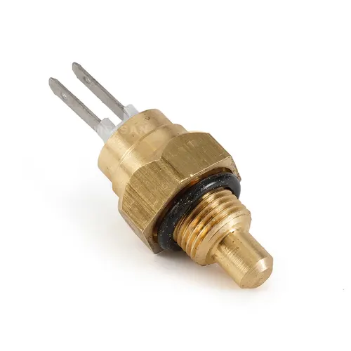 Boiler Ntc Sensor Immersion Type Threaded (G-Force) Eca Calora - Protherm - Biasi