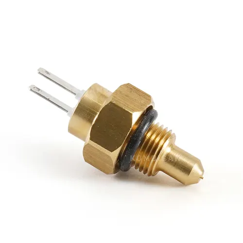 Boiler Ntc Sensor Immersion Type Threaded (Generous) Eca Calora - Protherm - Biasi