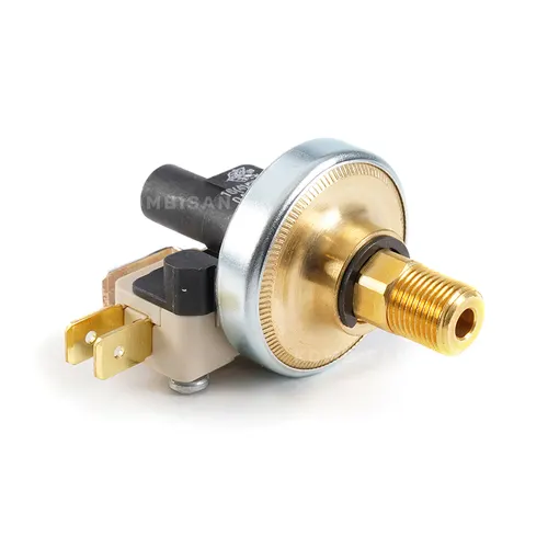 Boiler Water Pressure Switch (Mater) Buderus 87215743210 Unical 95262039 1/8